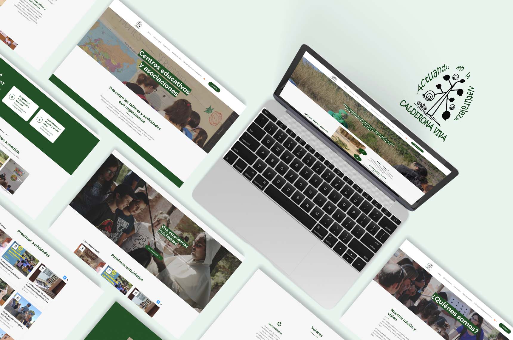 Portada calderona viva