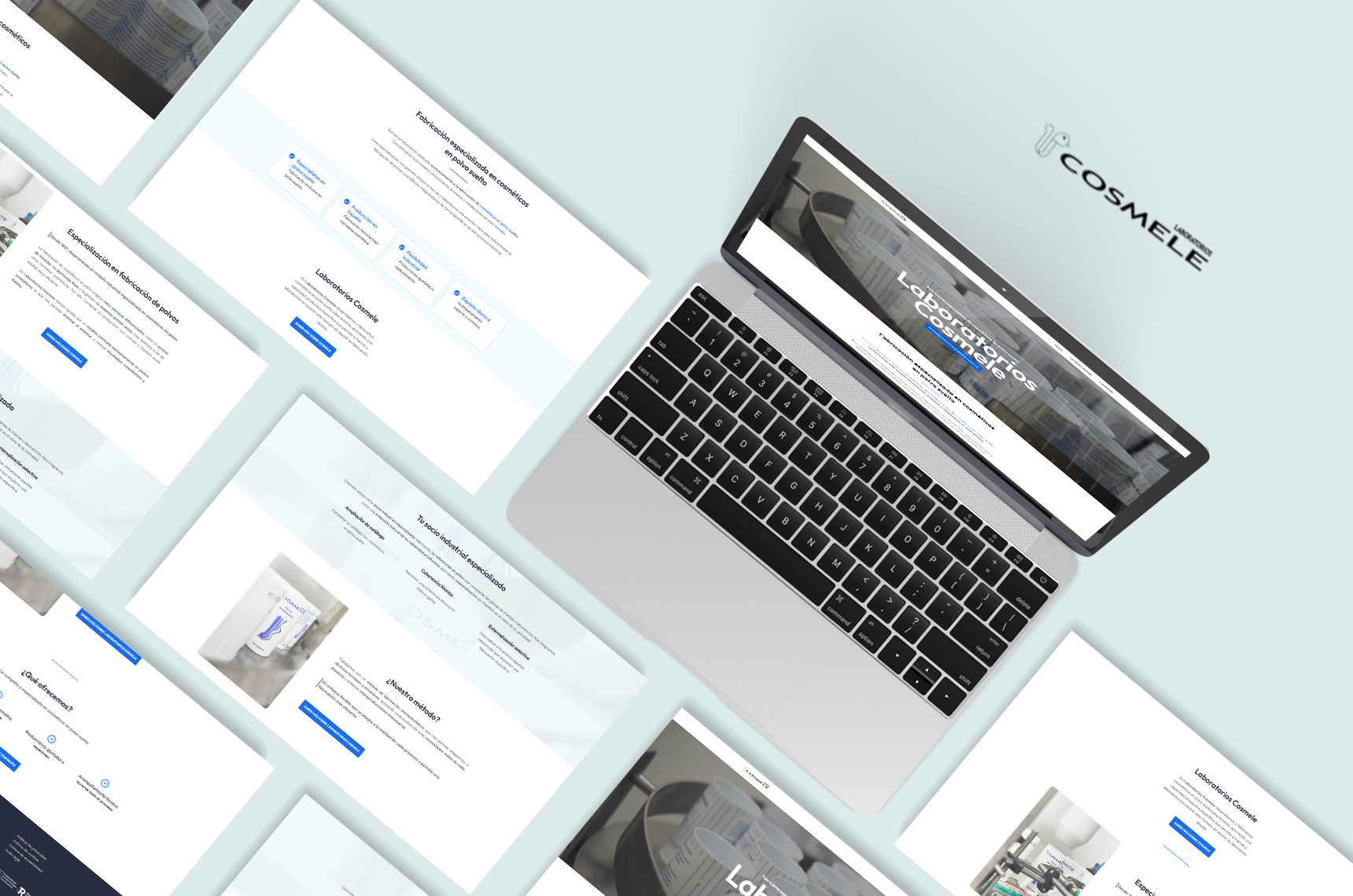 cosmele portada portafolio cliente