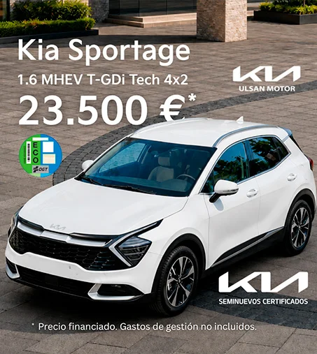 portfolio kia ulsan sportage